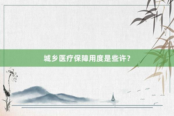 城乡医疗保障用度是些许？